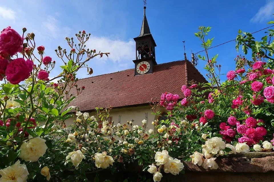 Zarten city view