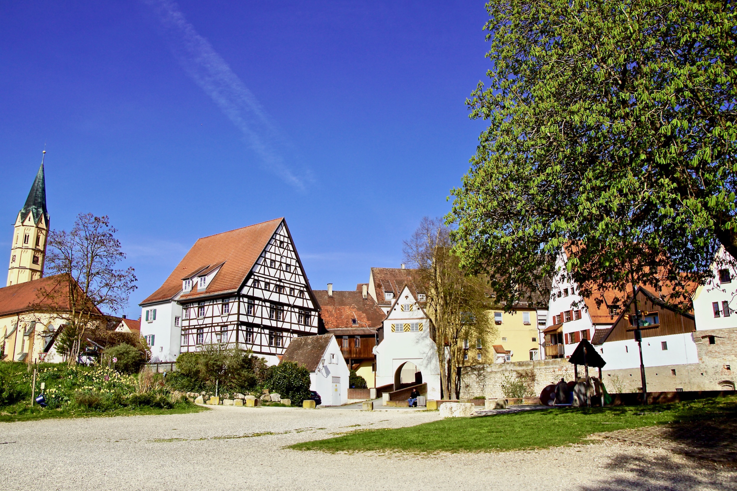 Lauingen