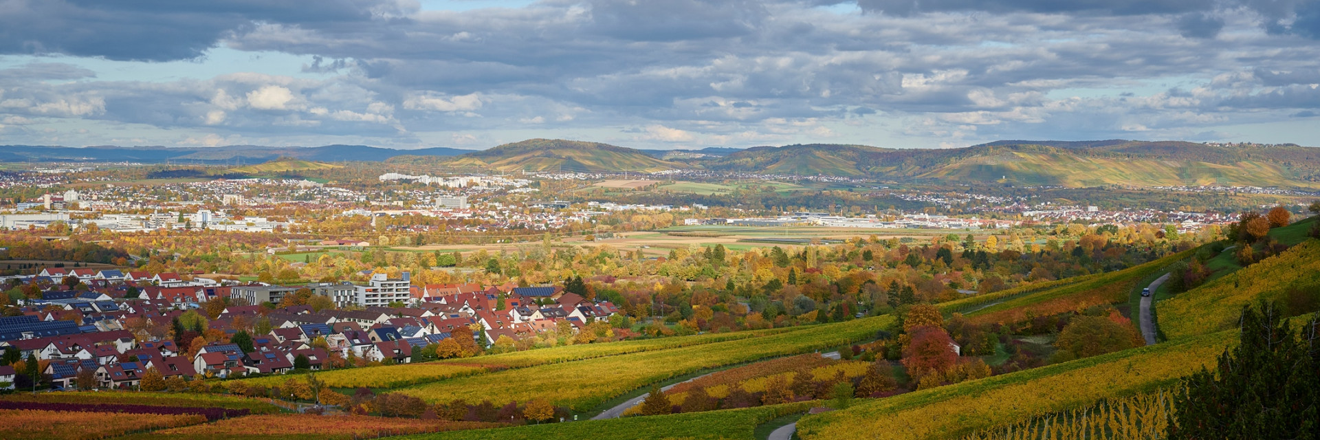 Fellbach city view